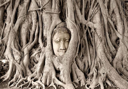 Fototapete Buddha unter dem Baum – Ruhe & Achtsamkeit für dein Zuhause