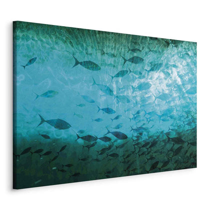 Leinwandbild - A shoal of dark fish