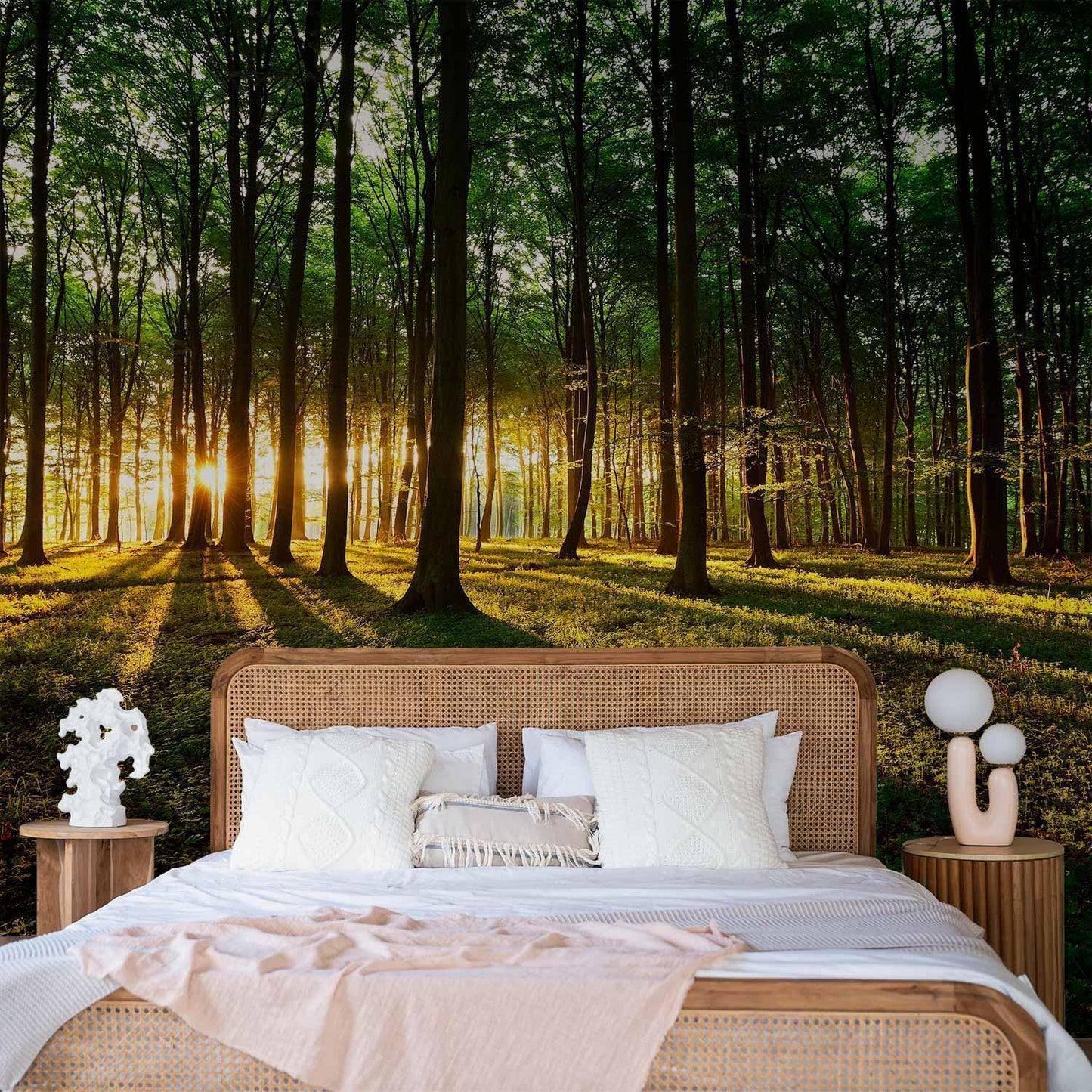 Fototapete - Spring: Morning in the Forest