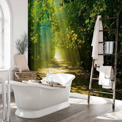 Fototapete - Road in Sunlight