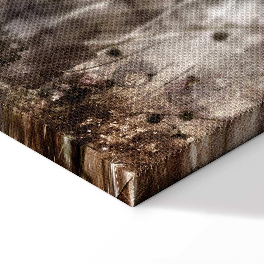 Leinwandbild - Anemones in Sepia (1 Part) Wide