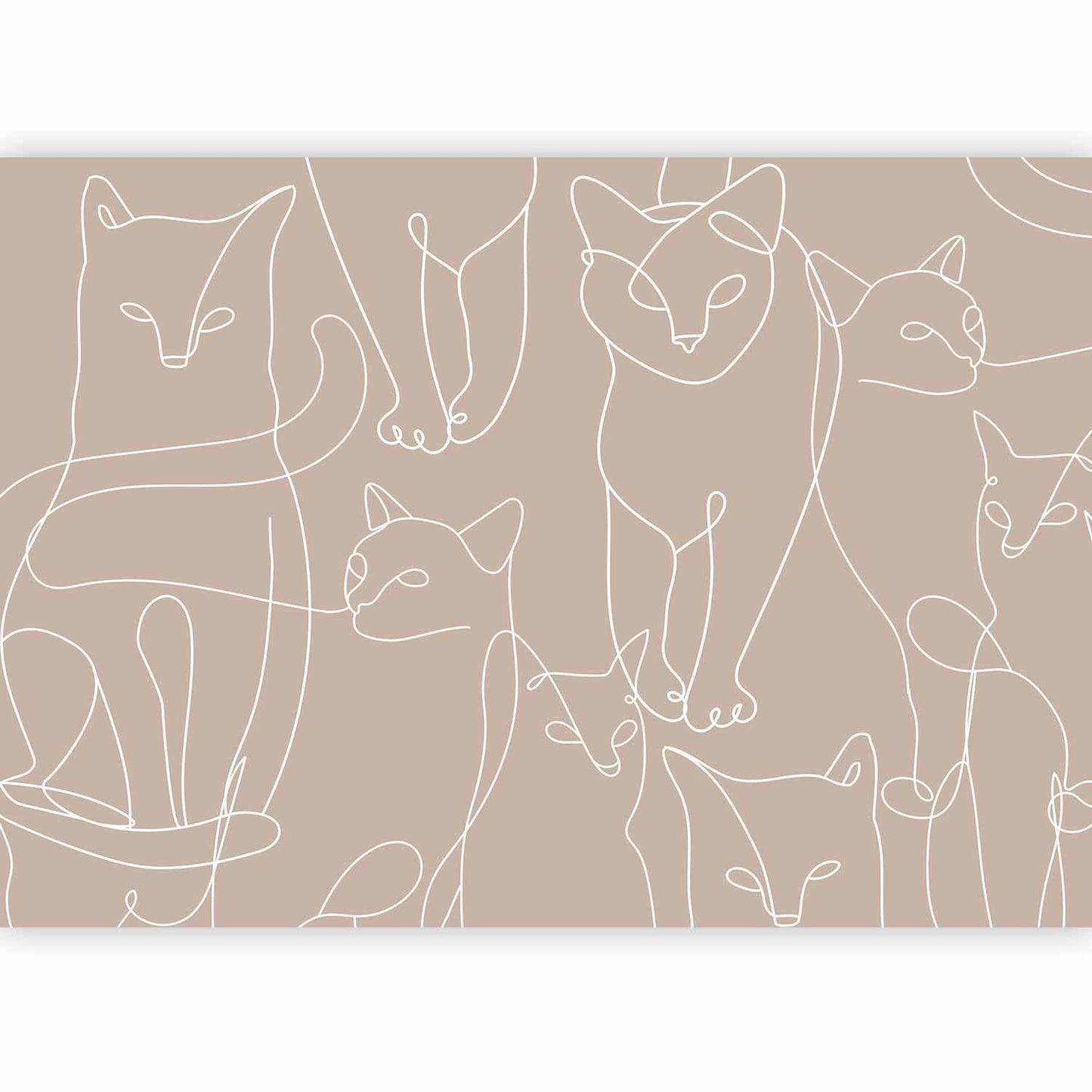 Fototapete - Cat lineart - minimalist sketches of white cats on beige background