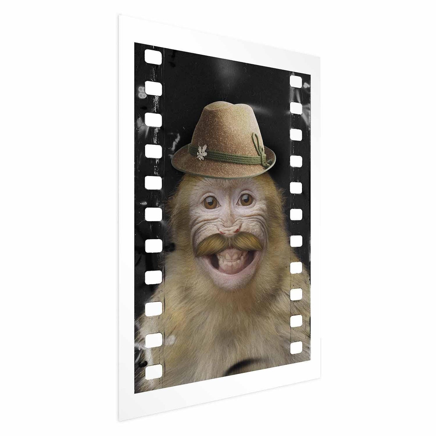 Poster - Monkey in a Hat Artgeist