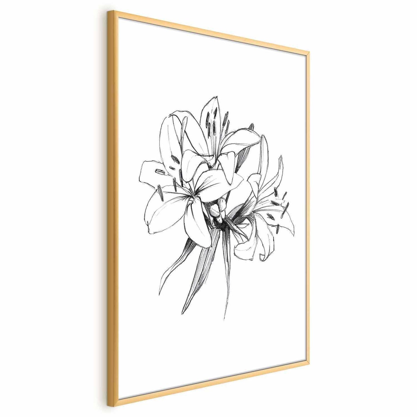 Poster - Drawn Flowers