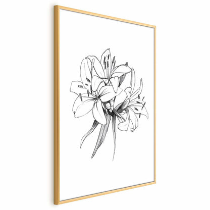 Poster - Drawn Flowers