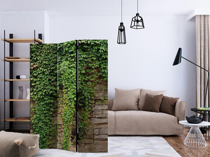 Paravent - Ivy wall Artgeist