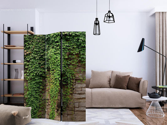Paravent - Ivy wall Artgeist