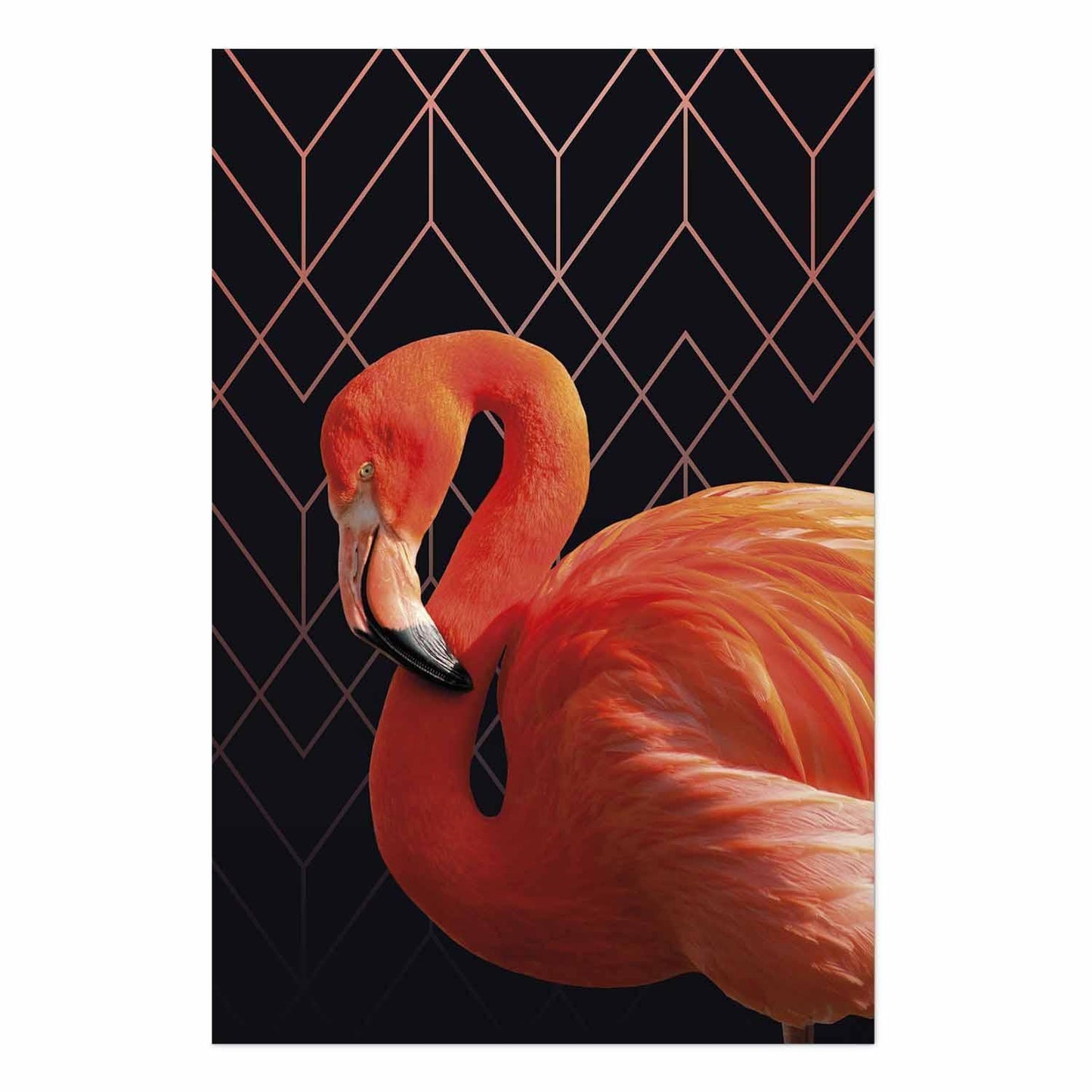 Poster - Flamingo Solo