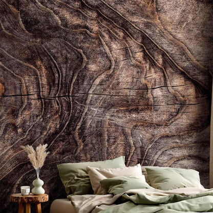 Fototapete - Signs of the times - an abstract background with the wrinkled bark of an old tree