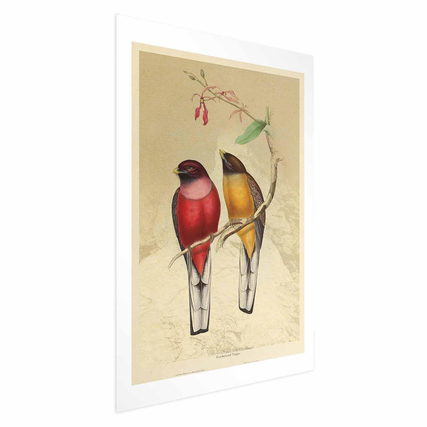 Poster - Birds on a Branch