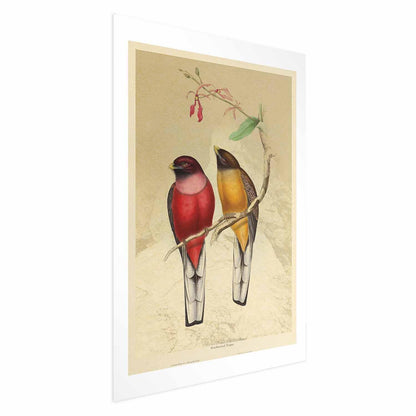 Poster - Birds on a Branch