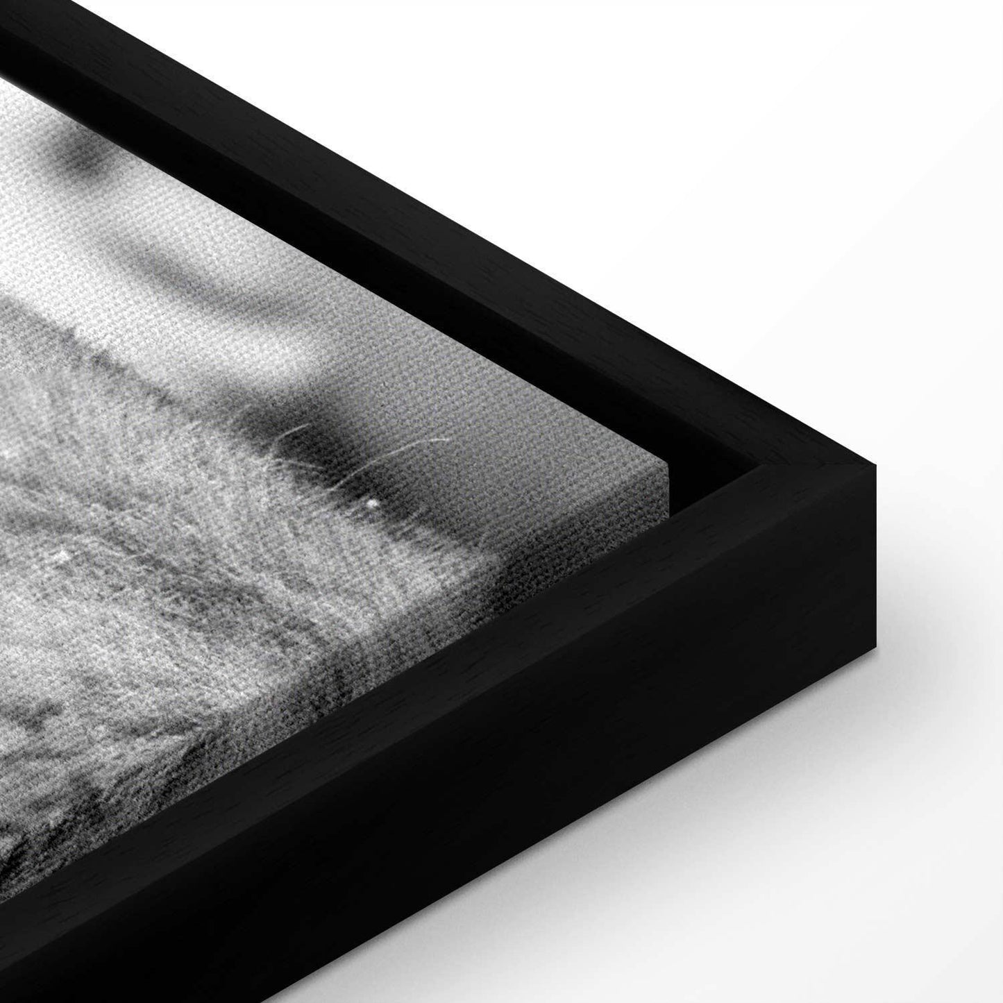 Leinwandbild - Lion's Love