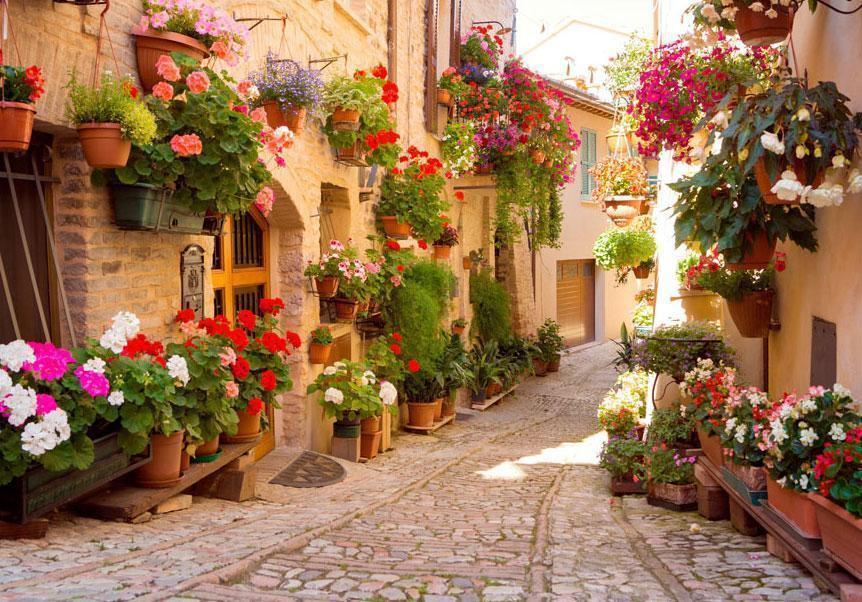 Fototapete Italienische Gasse – Spello Wandtapete mit mediterranem Flair