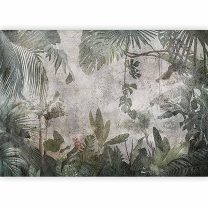 Fototapete - Rain Forest in the Fog