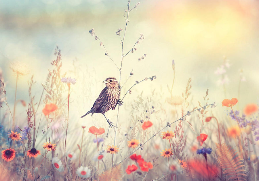 Fototapete - Field Bird Artgeist