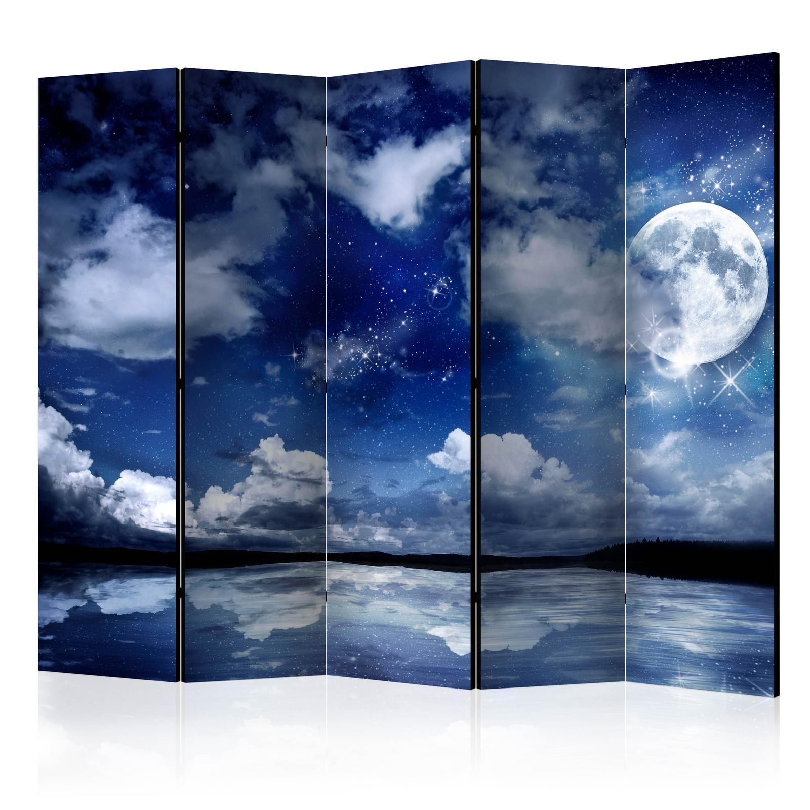 Paravent - Magic Night II Artgeist