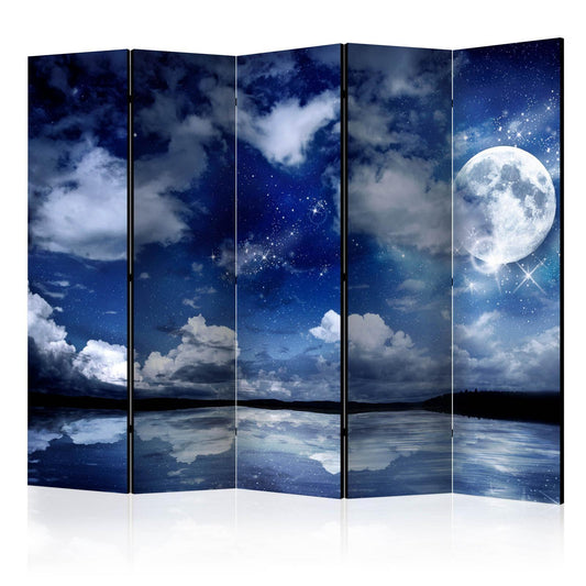 Paravent - Magic Night II Artgeist