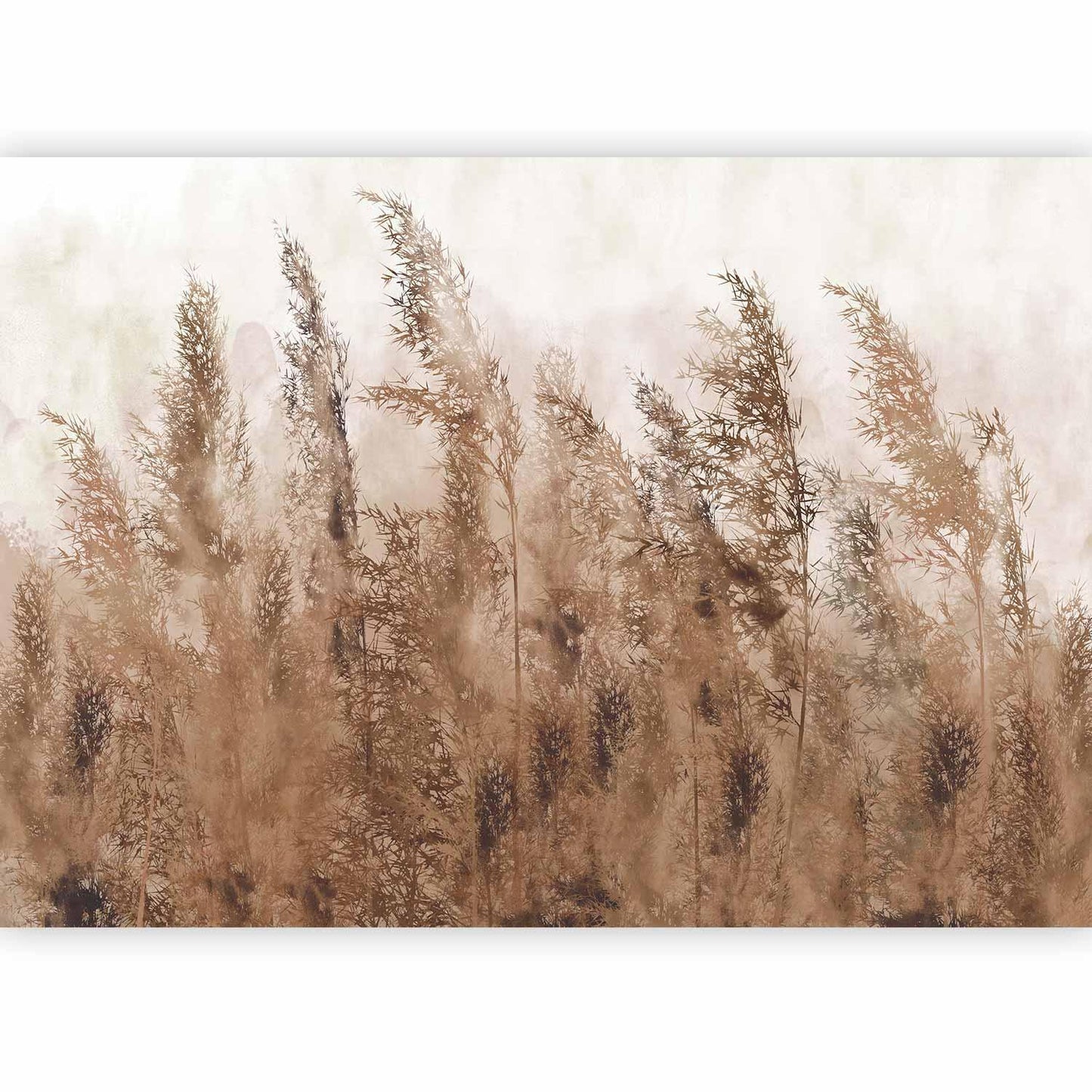 Fototapete Naturmotiv – Detailansicht der braunen Halme

