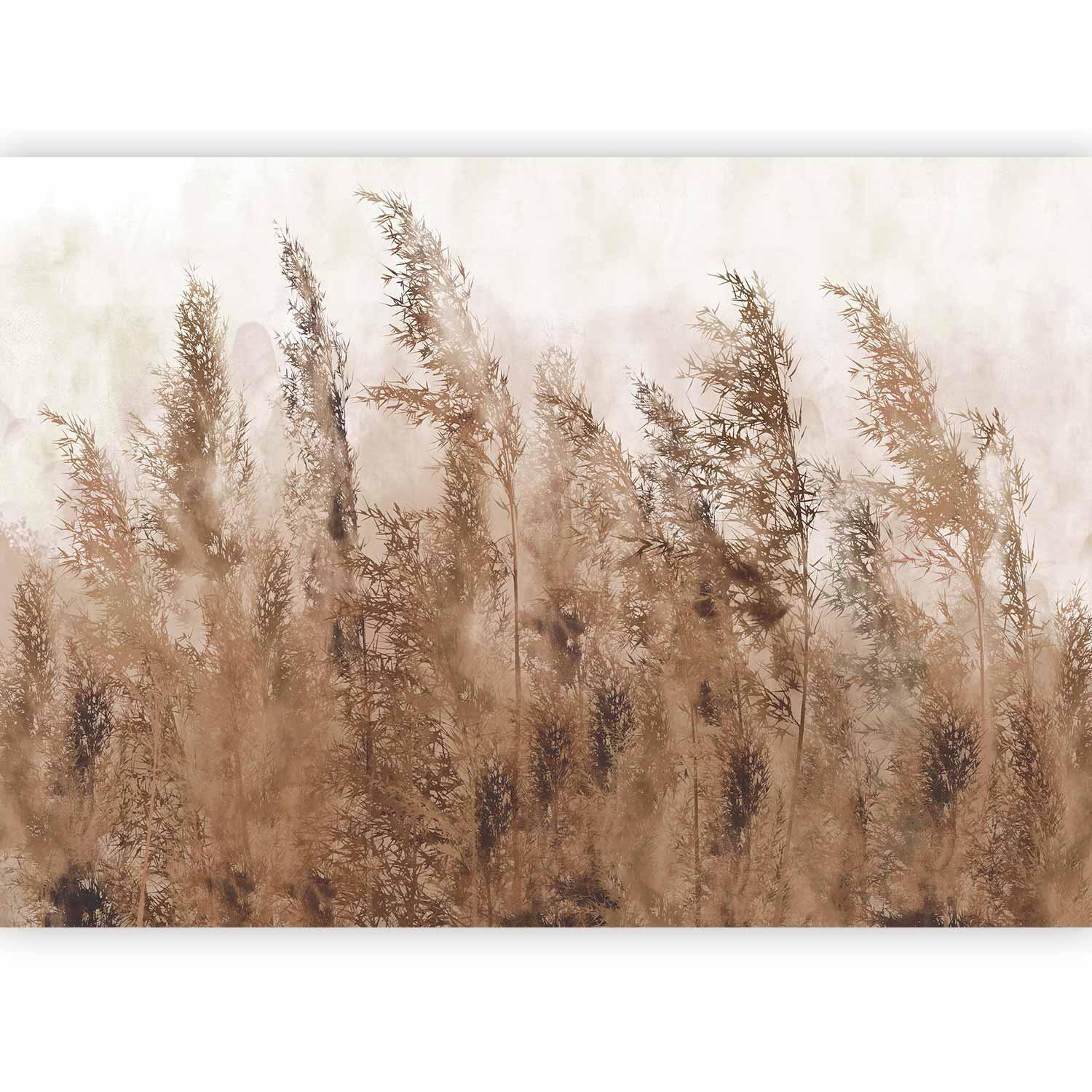 Fototapete Naturmotiv – Detailansicht der braunen Halme

