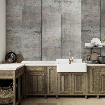 Tapete - Gray pigeon