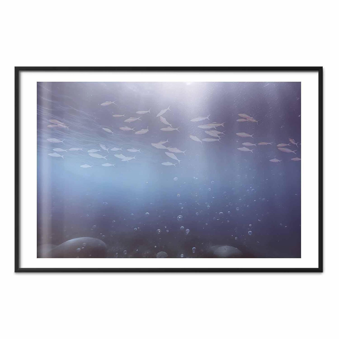 Poster - Fish in the Depths