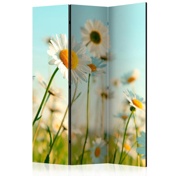 Paravent - Daisies - spring meadow Artgeist