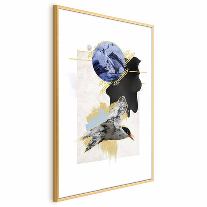 Poster - Antarctic Tern Artgeist
