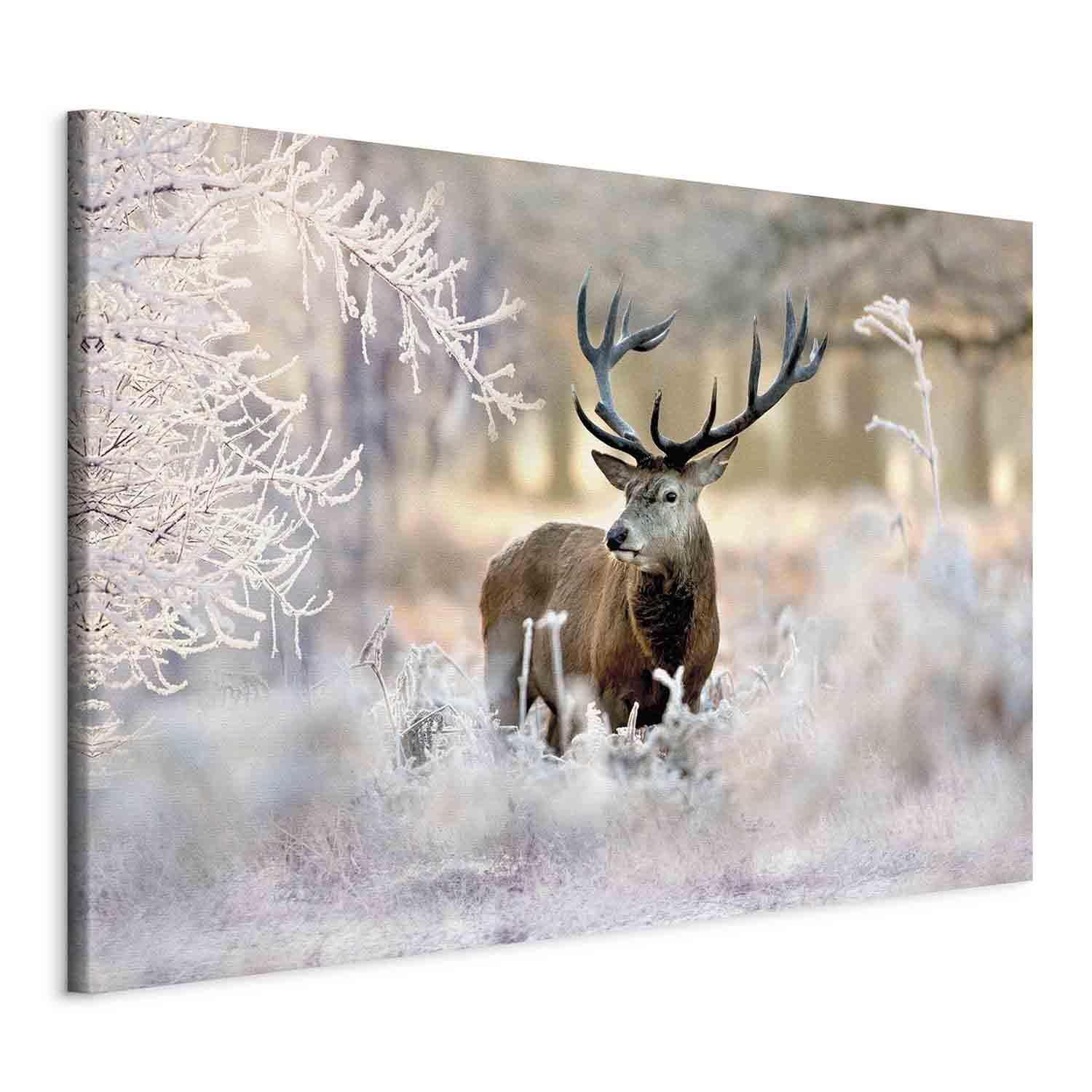 Leinwandbild - Deer in the Cold Artgeist