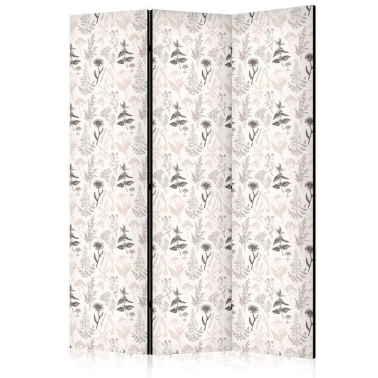 Paravent - Botanical Illustration - Drawing of Flowers and Herbs - Beige Grays Artgeist