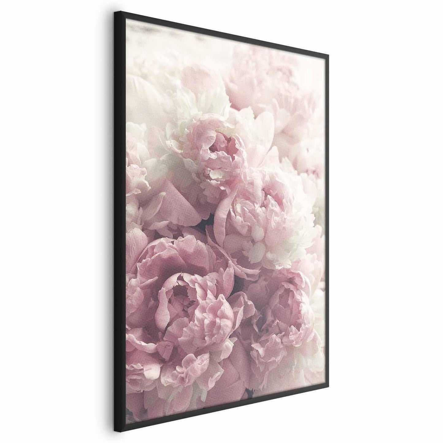 Poster für Wohnzimmer – Pfingstrosen auf hellem Hintergrund

