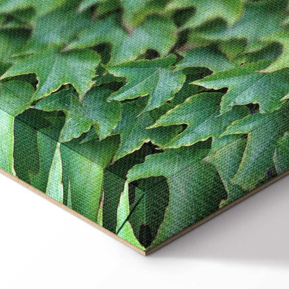 Leinwandbild - Thick Ivy (1 Part) Vertical