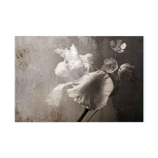 Leinwandbild - Venetian Splendor (1 Part) Wide