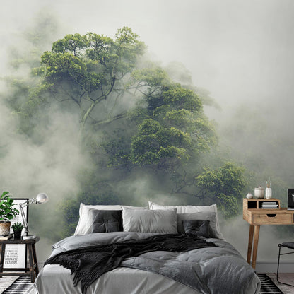 Fototapete Nebel über dem Amazonas – Mystik und Natur im Einklang
