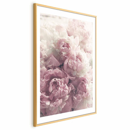 Poster Zarte Pfingstrosen – Blumenposter für stilvolle Wanddeko