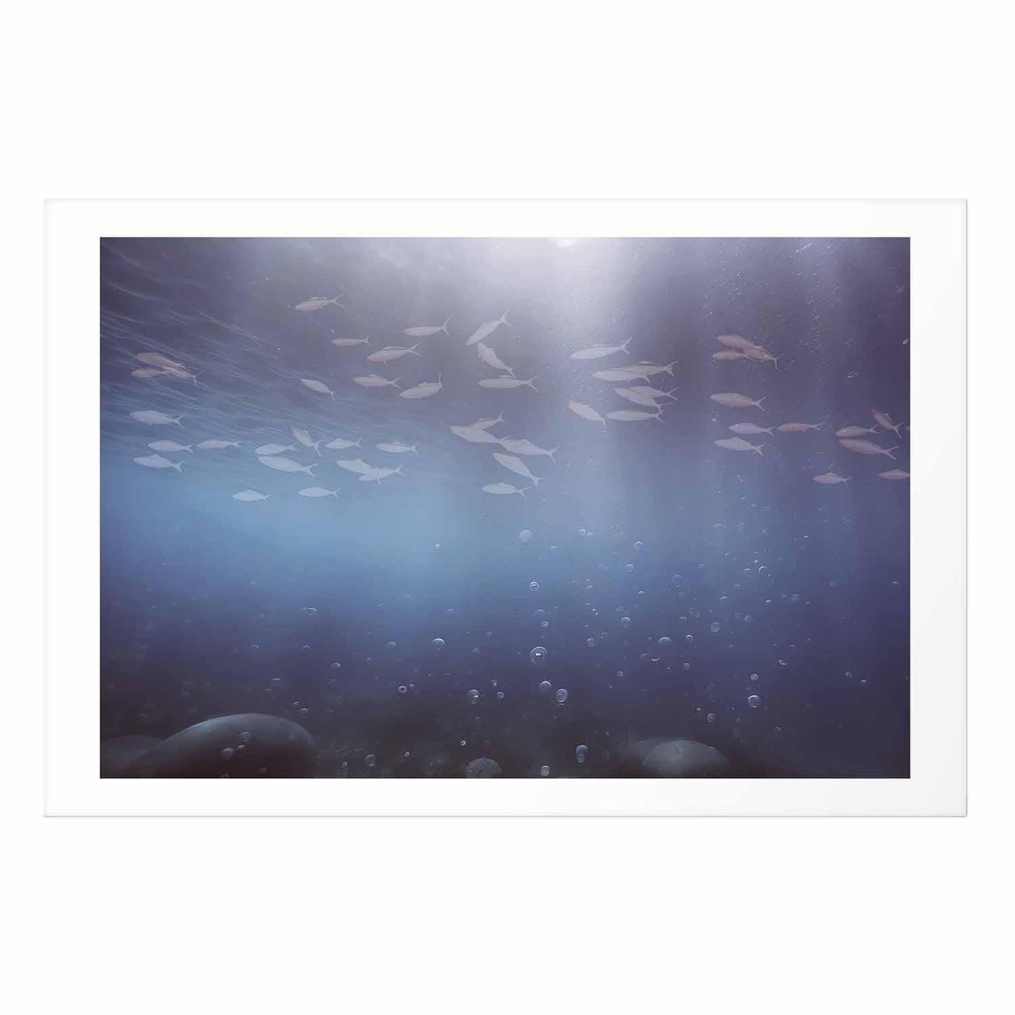 Poster - Fish in the Depths