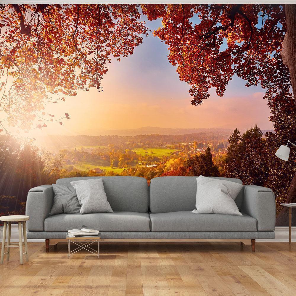 Fototapete - Autumn delight - sunny landscape with countryside surrounded by trees and fields Artgeist