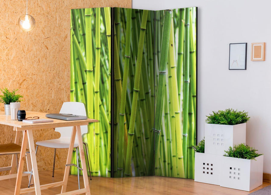 Paravent - Bamboo Forest Artgeist