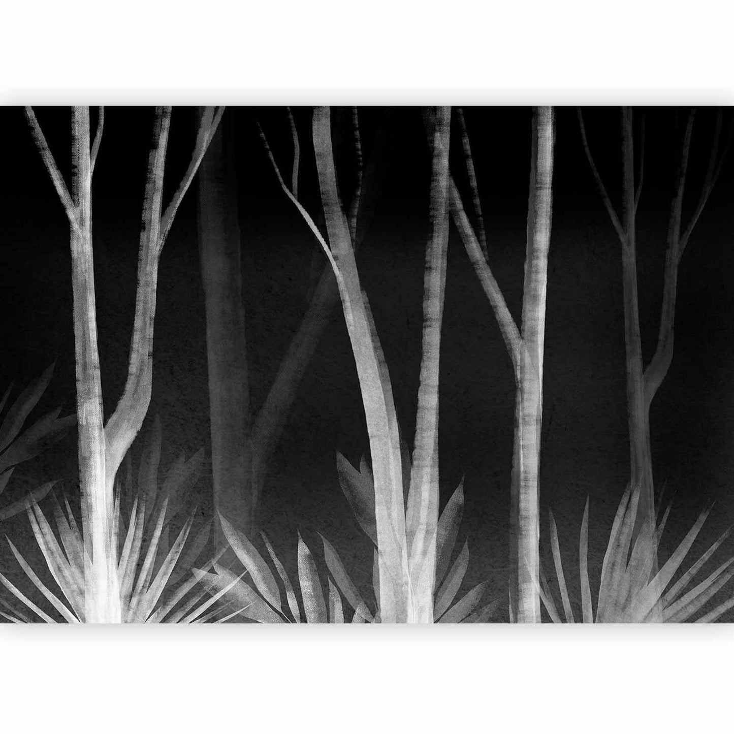 Fototapete - Noise of the forest at night - minimalist landscape of white trees on a black background Artgeist