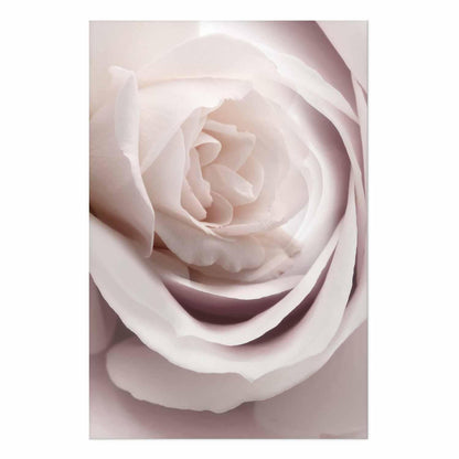 Poster - Porcelain Rose