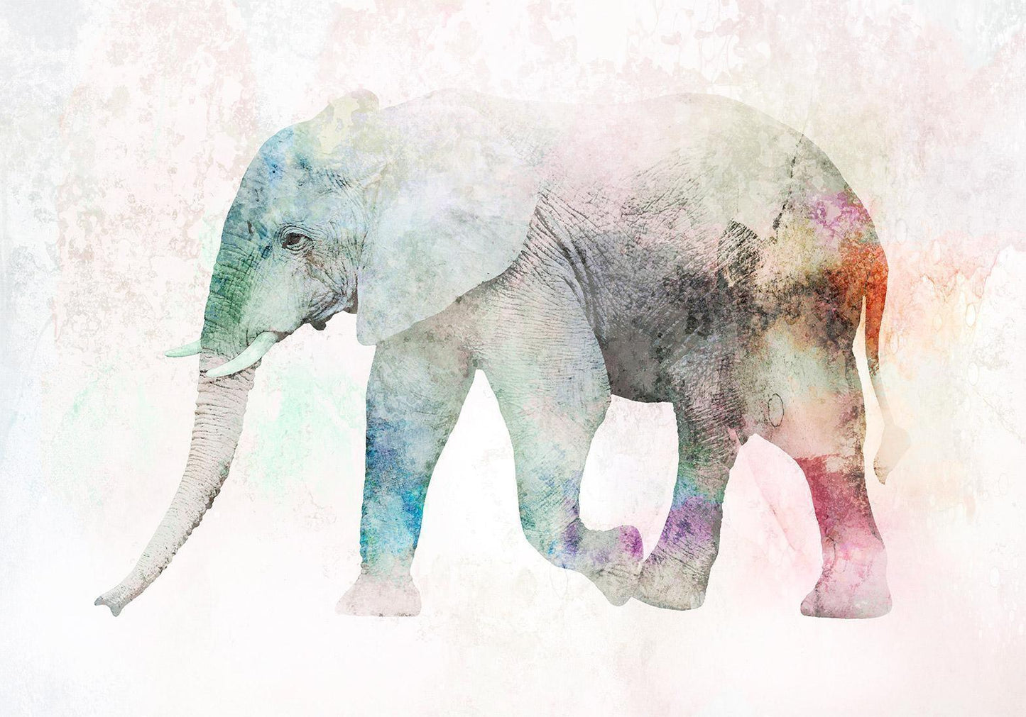 Fototapete „Painted Elephant“ – Farbenfrohes Elefantenmotiv in Aquarelloptik