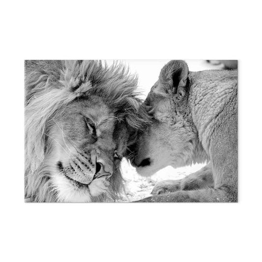 Leinwandbild - Lion's Love