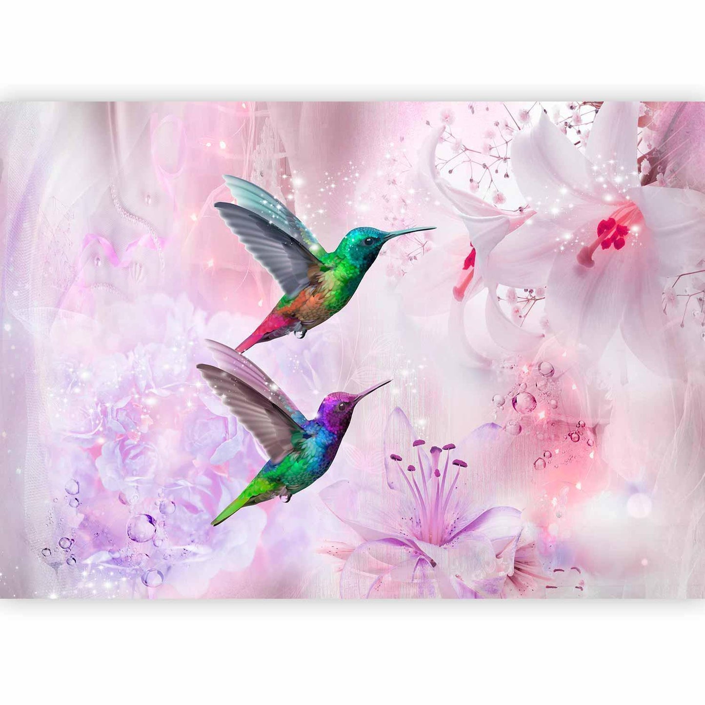 Fototapete - Colourful Hummingbirds (Purple)