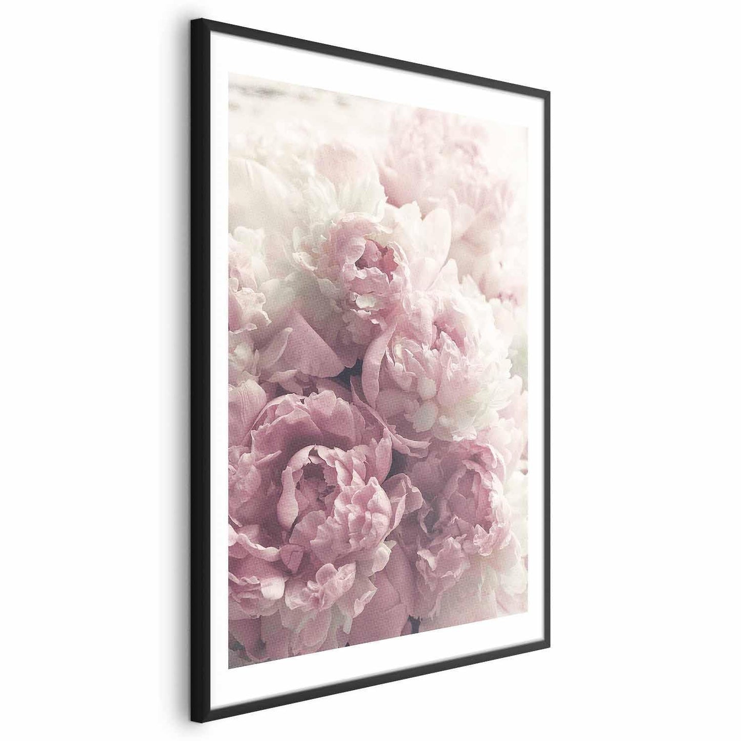 Poster - Delicate Peonies