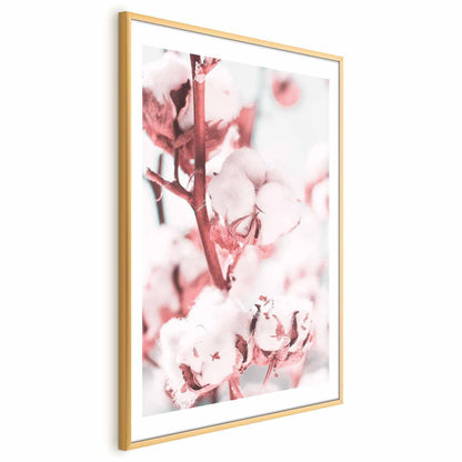 Poster - Cotton in Bloom Artgeist
