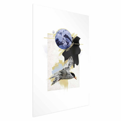 Poster - Antarctic Tern Artgeist