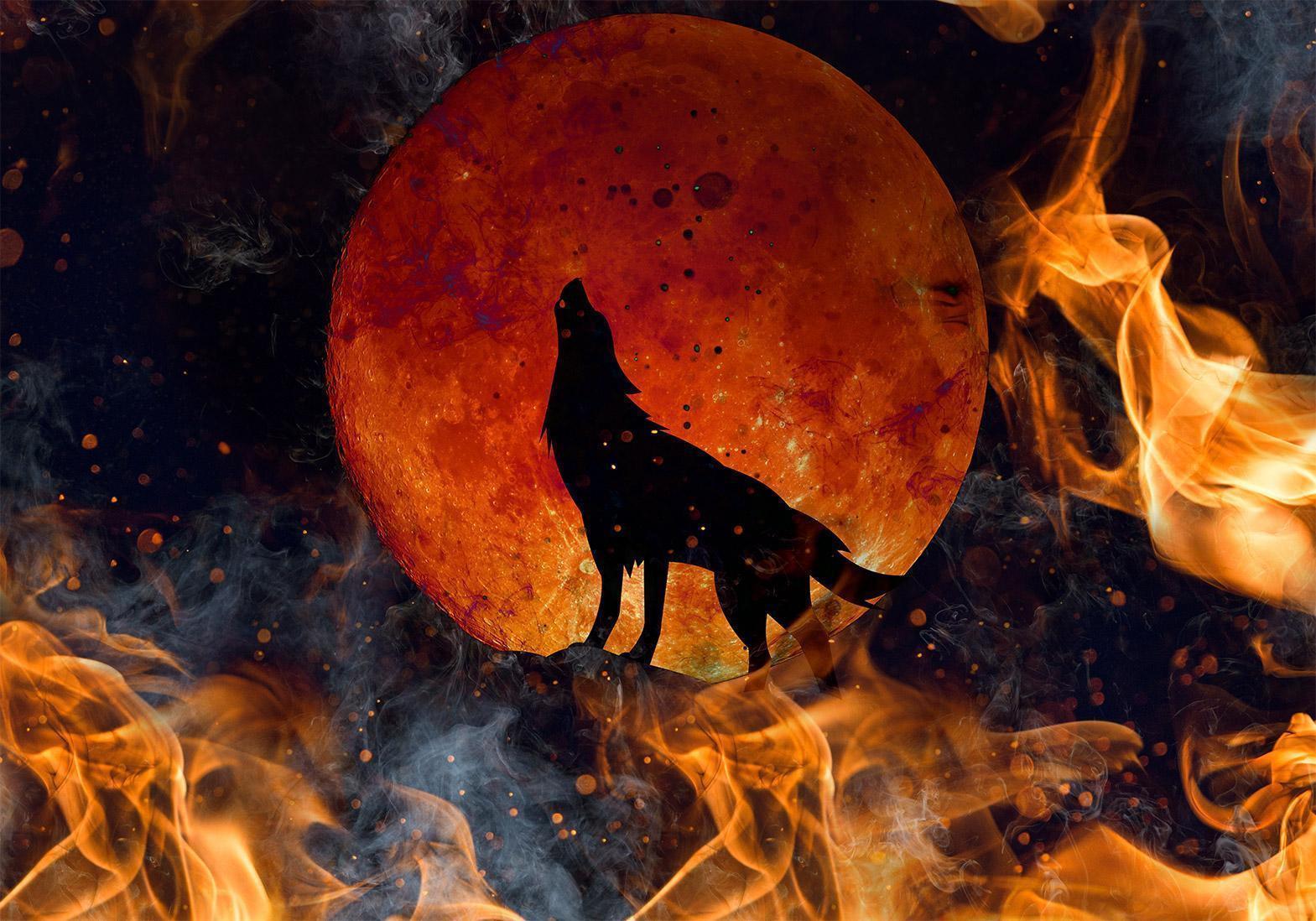 Fototapete - Wild nature - wolf on a background of a red moon in flames of fire Artgeist
