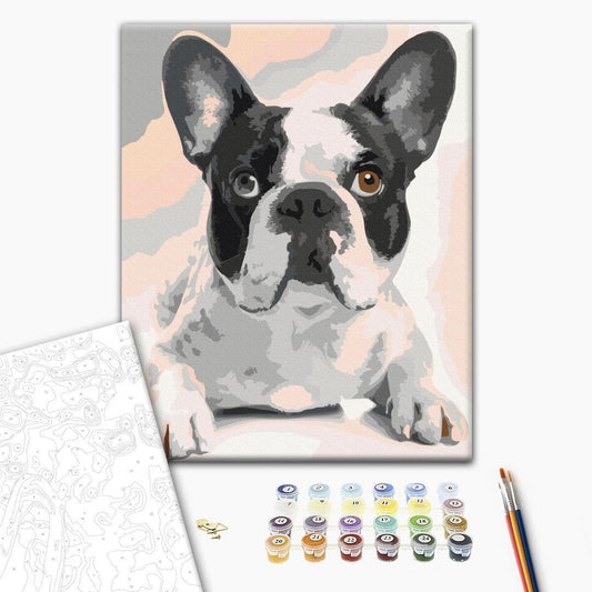 Malen nach Zahlen - French Bulldog