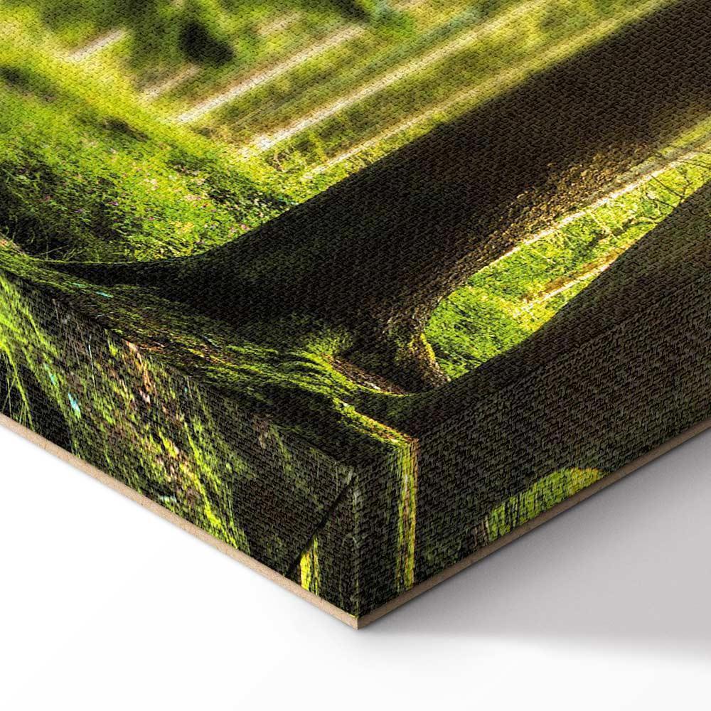 Leinwandbild - Sunlight