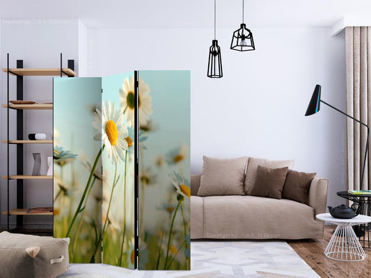 Paravent - Daisies - spring meadow Artgeist