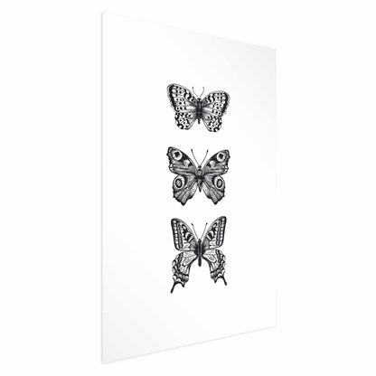 Poster - Three Butterflies Artgeist